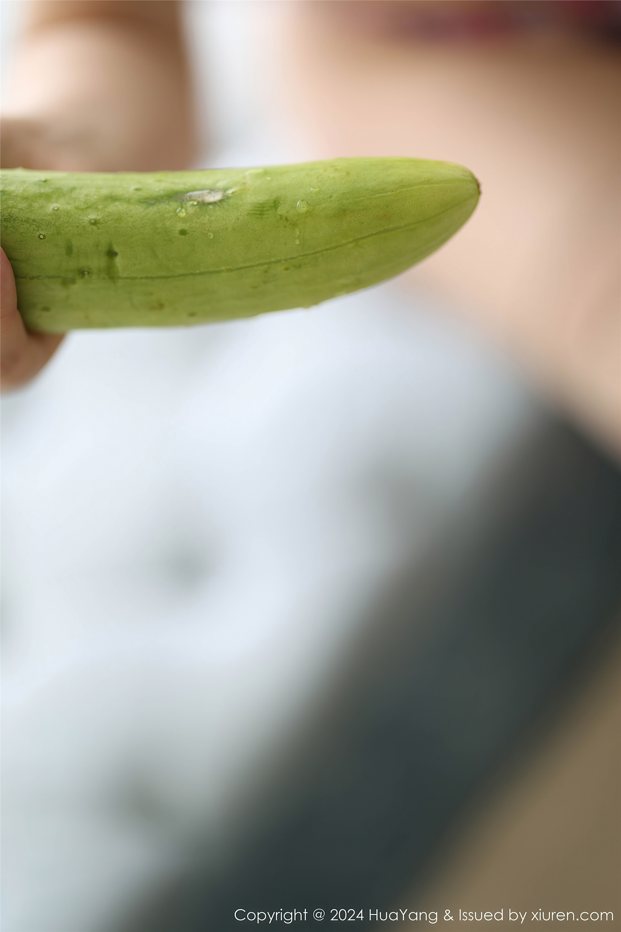 YouMi尤蜜荟 2024.10.25 VOL.1105 小海臀Rena